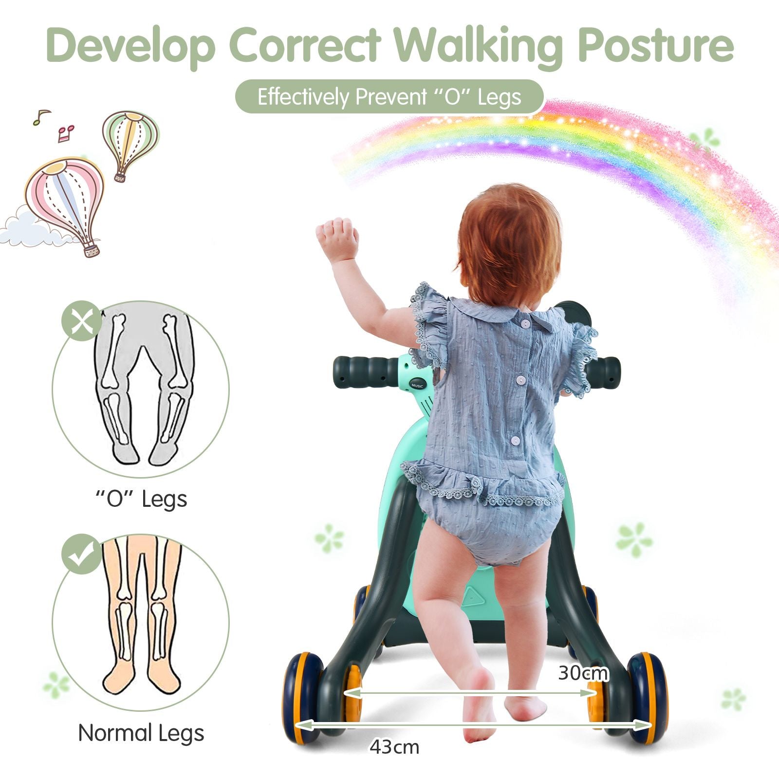 Baby Push along Walkers with Lights and Ball Game