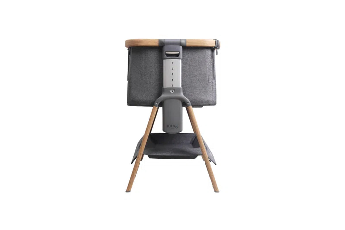 Cozee Air Rocking Bedside Crib with Mattress